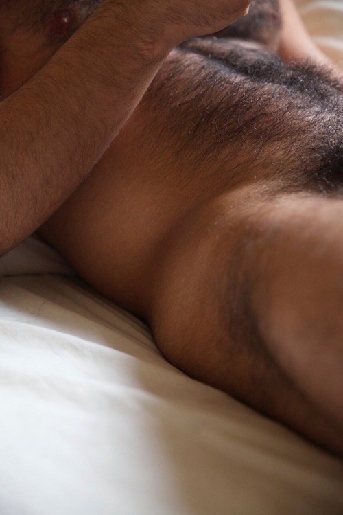 Hairy Men Paradise