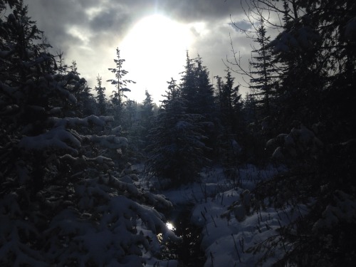 bchighlander:Busted through some deep snow to retrieve a trail...