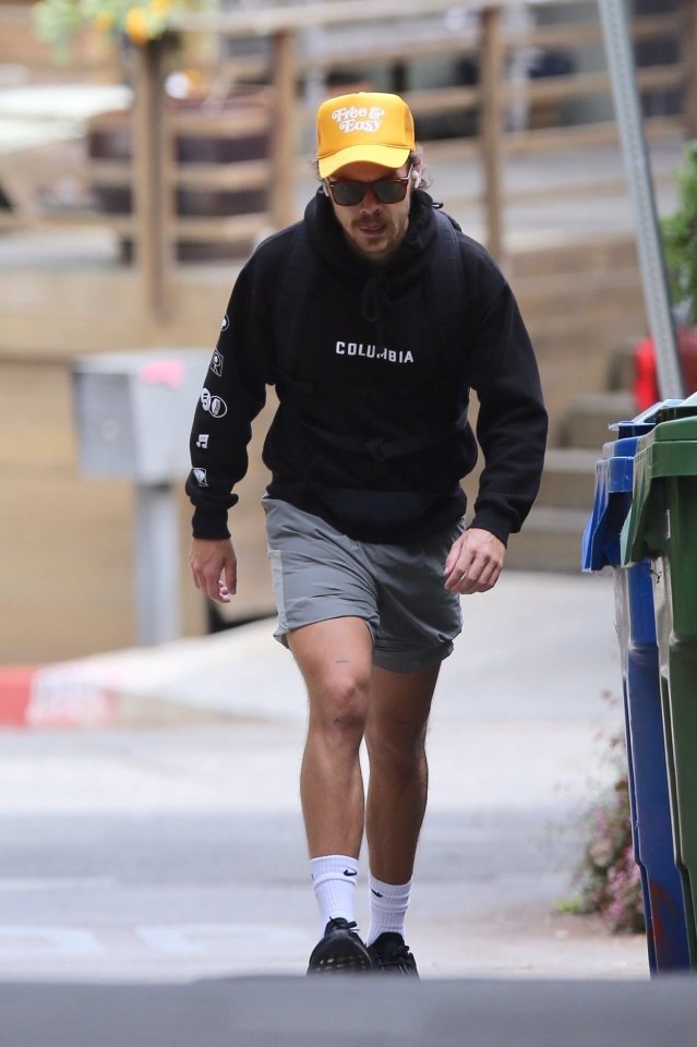 Harry on a hike in LA yesterday - March 31