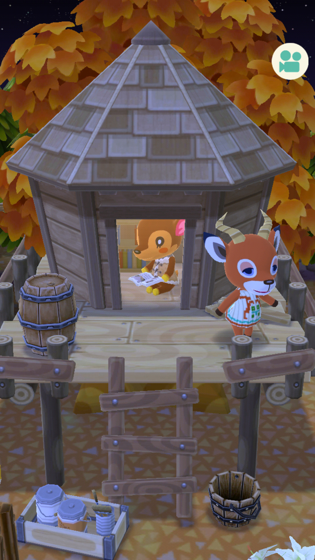 animal crossing new leaf campsite | Tumblr