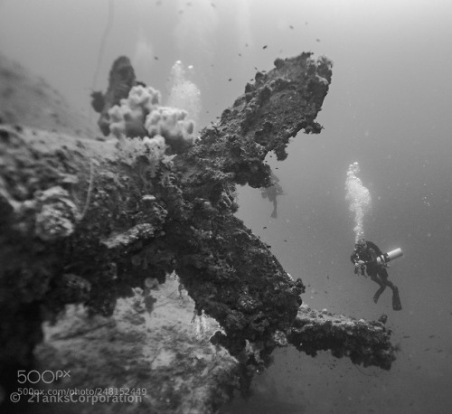 lifeunderthewaves:Propellor by damosnaps_ru Diver on the prop...