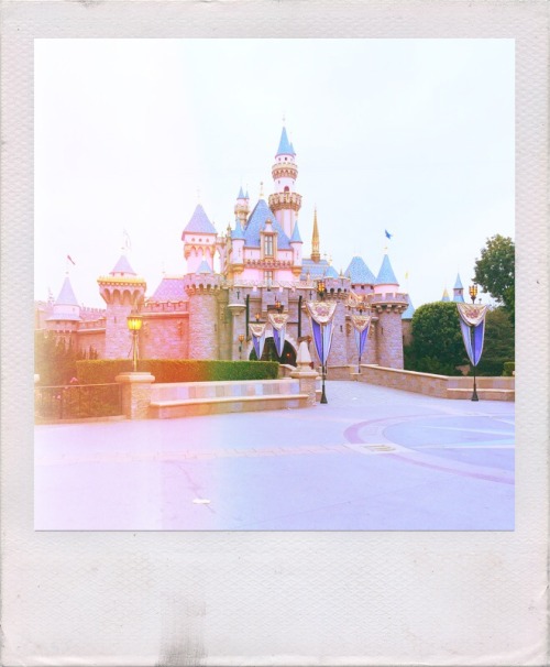 Welcome To The Magical World Of Disney