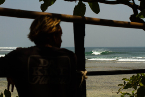 robotsfrom:Watching barrels from a treehouse in Sumatra.