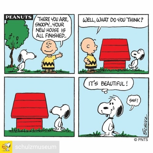 @Regran_ed from @schulzmuseum - In 1966, Charles Schulz’s art...