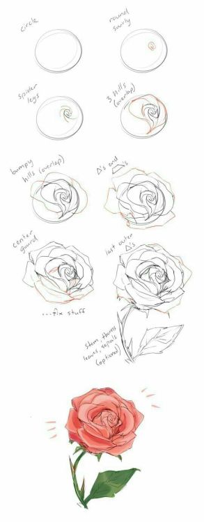 art-tnt:Rose step-by-stepArtist Credit: Unknown