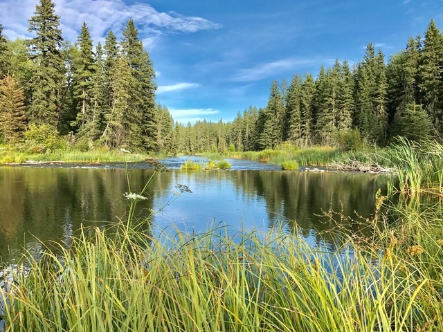 Prince Albert National Park, Saskatchewan, Canada.