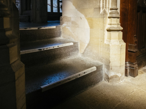 billieraephoto:Light fall in Fitzalan Chapel, Arundel Castle...