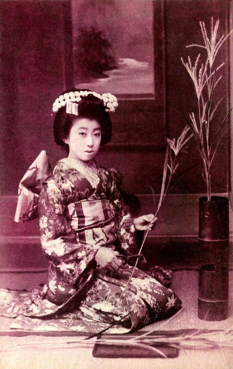 Osaka Maiko aranżujący trawę pampasową z lat dwudziestych XX wieku (autor: Blue Ruin1) „Japońska trawa pampasowa, typowy materiał jesienny, jest tradycyjnie układana, gdy ludzie zbierają się, aby zobaczyć księżyc (tsukimi) we wrześniu”.  ”