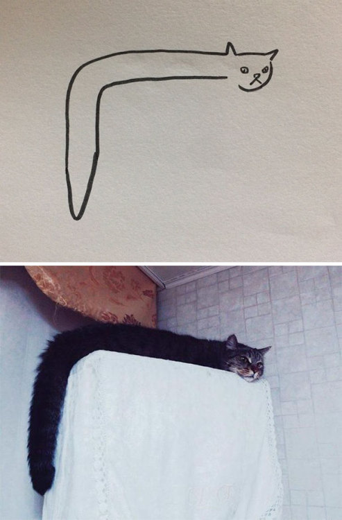 catsbeaversandducks:Super-realistic!By poorly drawn cats