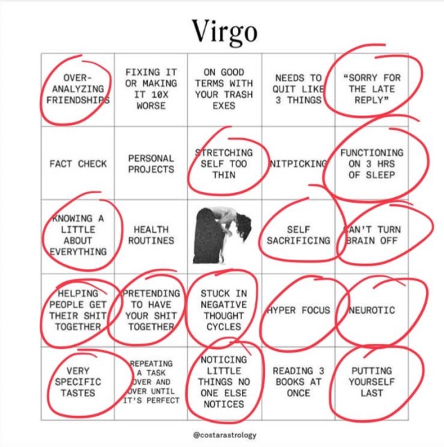 Virgo moon virgo rising