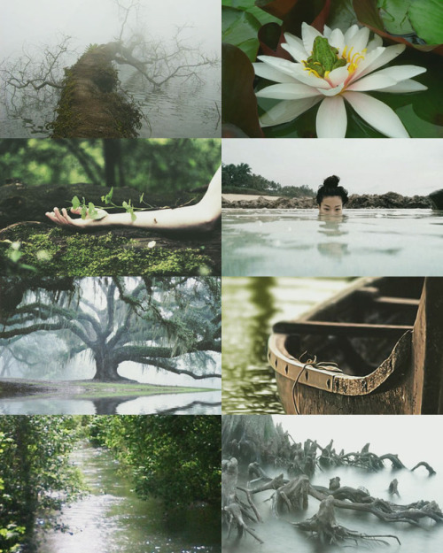 foggy swamp tribe on Tumblr