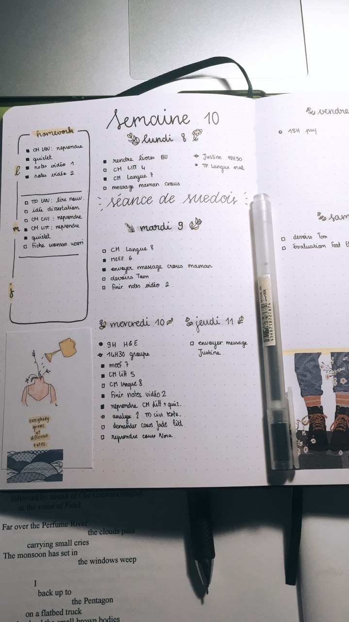 Que significa i do my homework in the afternoon