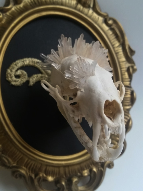 cummy–eyelids:Quartz crystal cluster explosion marten skull...