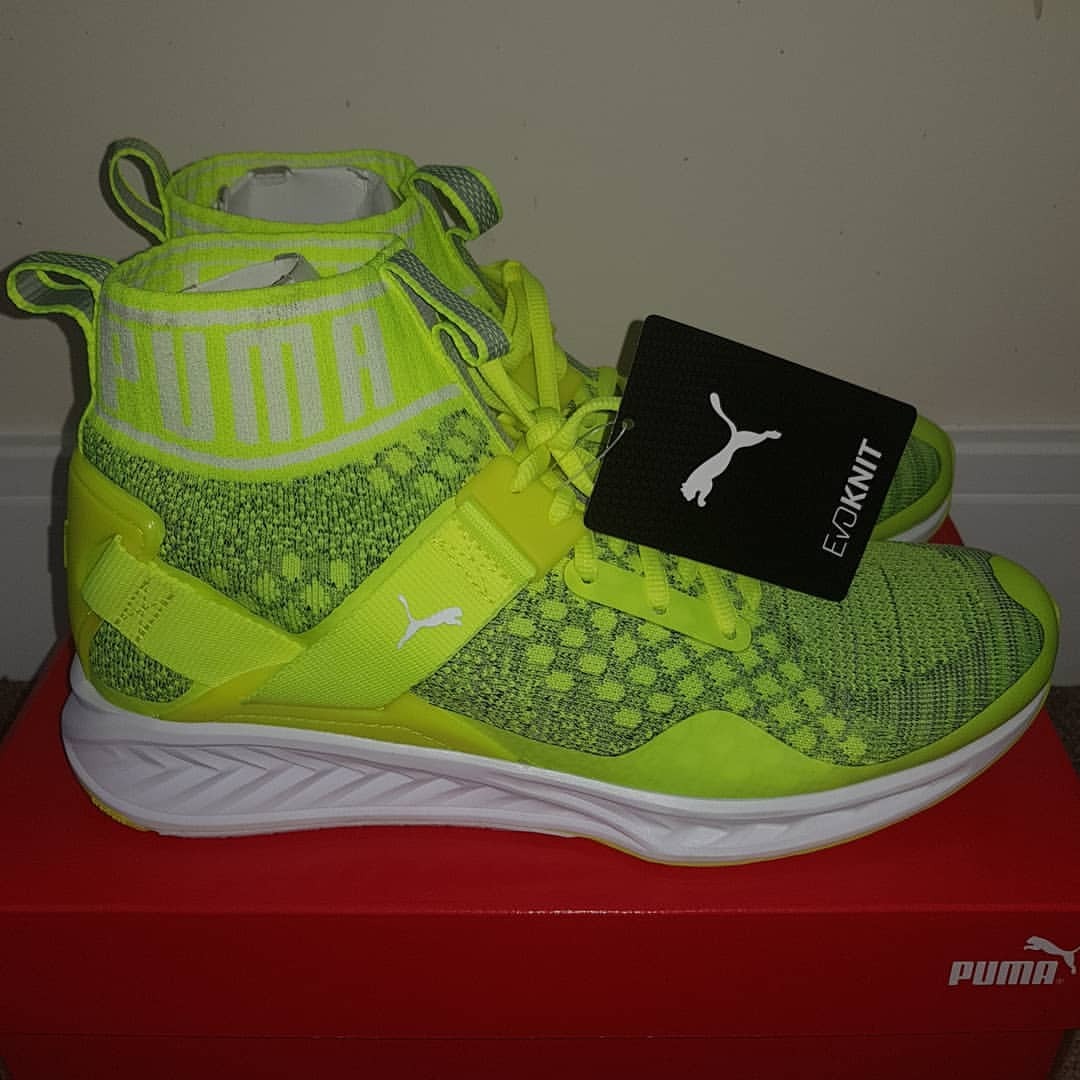 puma ignite evoknit gold kids