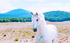 tumblr_mzx55iD69v1rllulfo7_r1_250.gif
