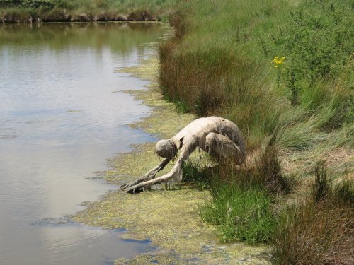 excited-dad:thefabulousweirdtrotters:Homo Algus, Marais de...