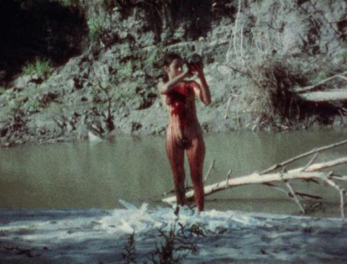 spectrumvivace:Ana Mendieta - Untitled (Blood and Feathers #2)...