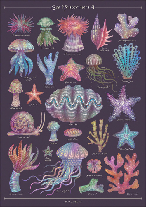 fairytalesandvampires:Sea life specimens I - II -...