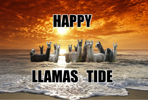 Happy Llamastide!