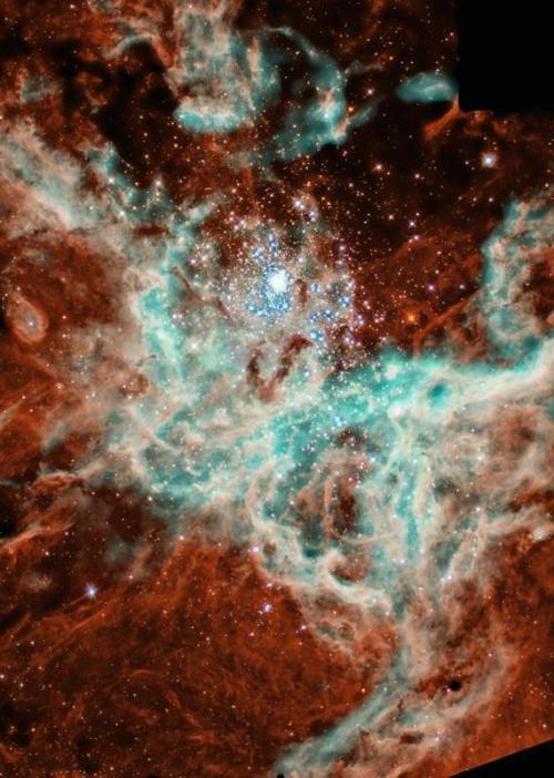 astronomicalwonders:Star Forming Region 30 DoradusNASA’s...