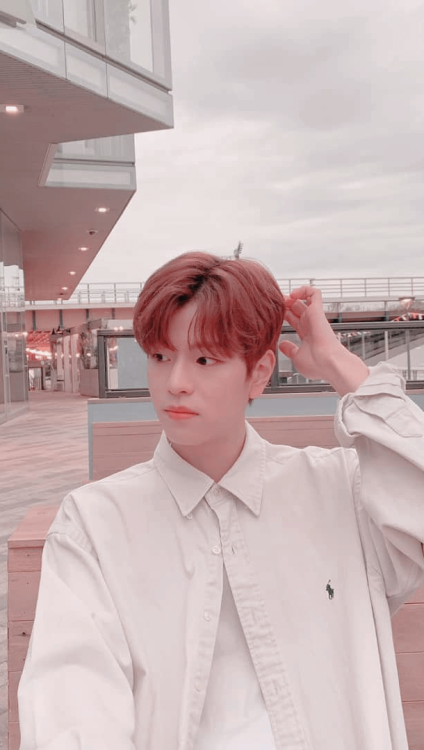 Seungmin Wallpapers Explore Tumblr Posts And Blogs Tumgir