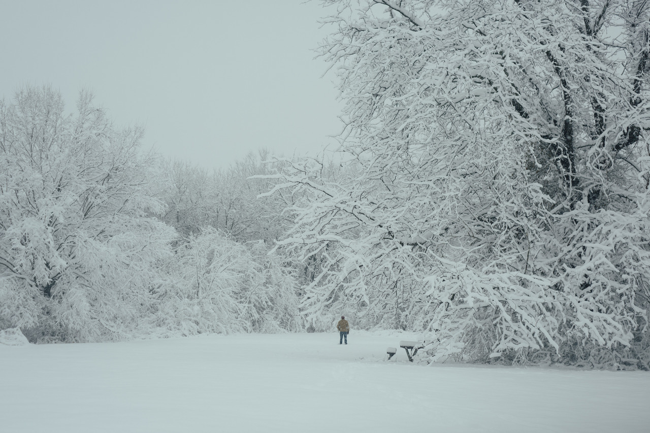 Look - Wonderland Winter tumblr pictures video to wear - Wonderland Winter tumblr pictures video