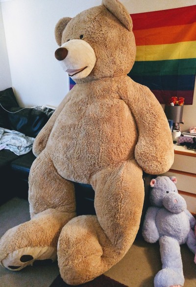 teddy bear tumblr