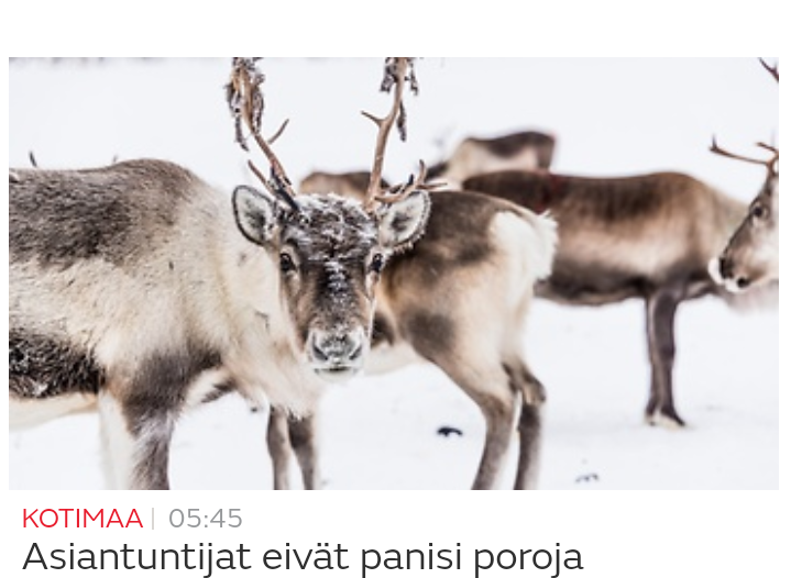 Musta perse saada vittu