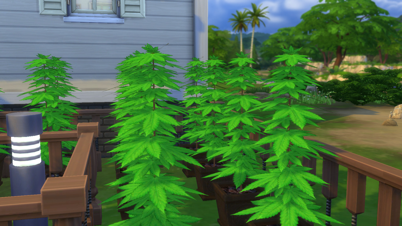how to smoke weed sims 4 mod
