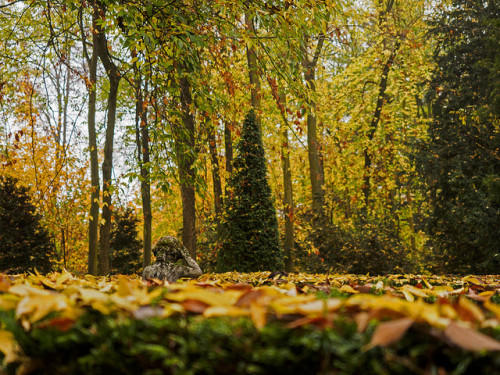 vintagepales2:Castle of Grazzano Visconti