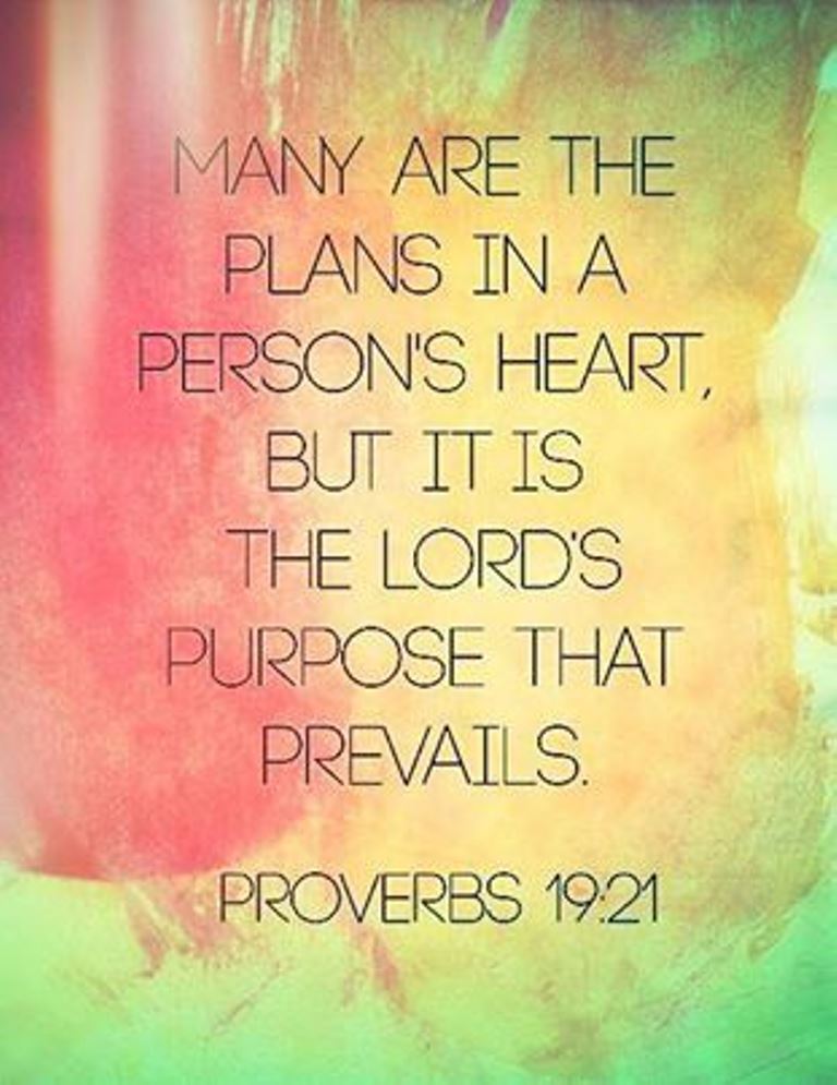 The Living Proverbs 19 21 NIV Many Are The Plans In A 