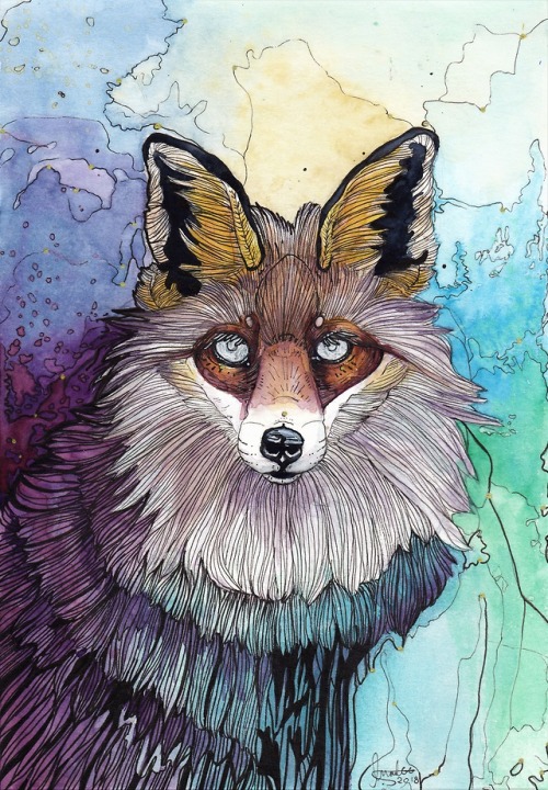 red fox drawing | Tumblr