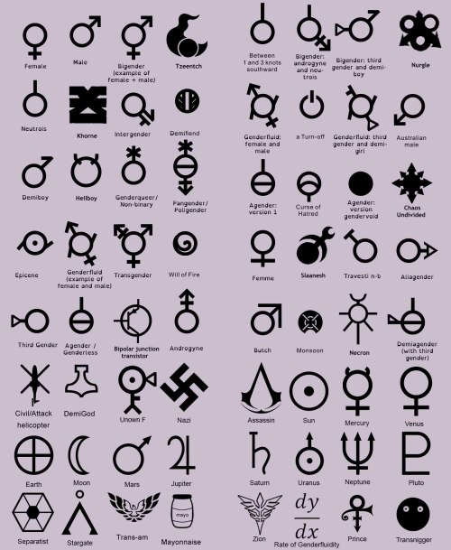 list tumblr gender list  gender Tumblr
