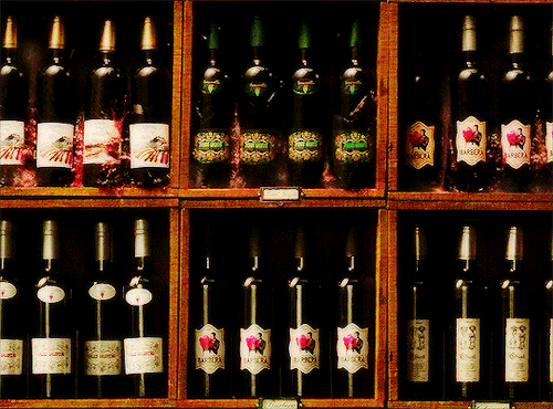 zoekravetz