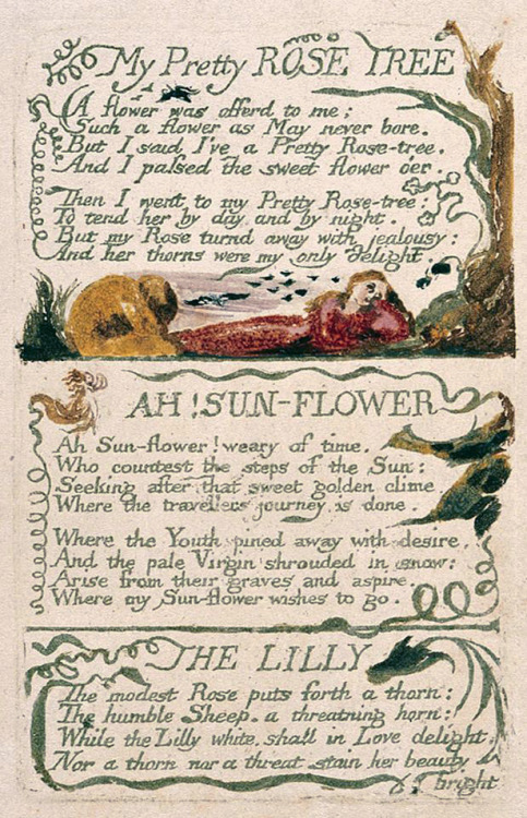 starswaterairdirt:from Songs of Experience, 1794William...