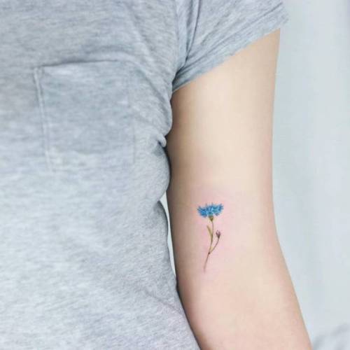 By Tattooist Ilwol, done in Seoul. http://ttoo.co/p/144837 flower;cornflower;small;micro;inner arm;tiny;ifttt;little;nature;tattooistilwol;illustrative