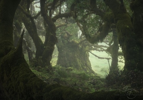 sweetd3lights: © All rights reserved  by Enrico Fossati