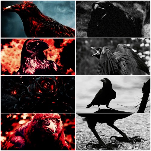 100 150 200 50 actuallydemonic bird demon crow aesthetic crow demon crow moodboard demon aesthetic demon moodboard demonkin demons hell crow mine misc aes otherkin aesthetic raven demon x