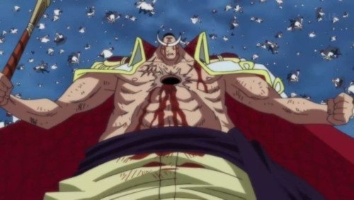 Population Go Anime Review One Piece 478