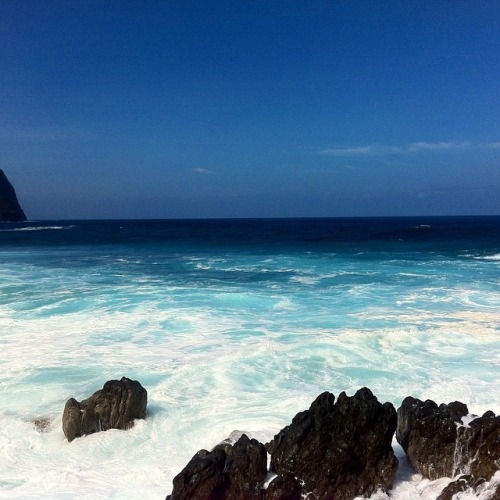 blue elegancea overcalm shvering purifiedxsouls goldella luxurae