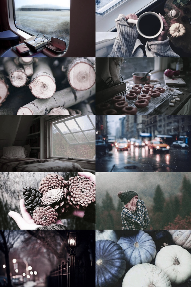 moodyhues: Season Opposites Aesthetic ; Cold...
