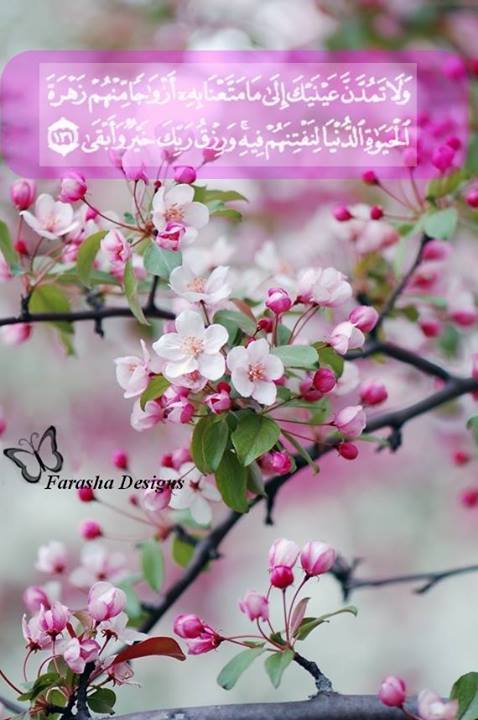 ʚiɞ Hamsat Farasha ʚiɞ وقفه مع ايه يقول تعالى و ل ا