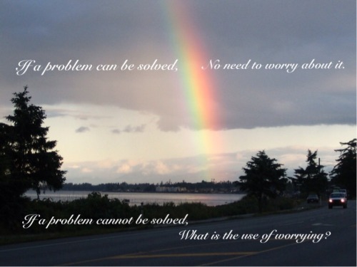 tumblr photo