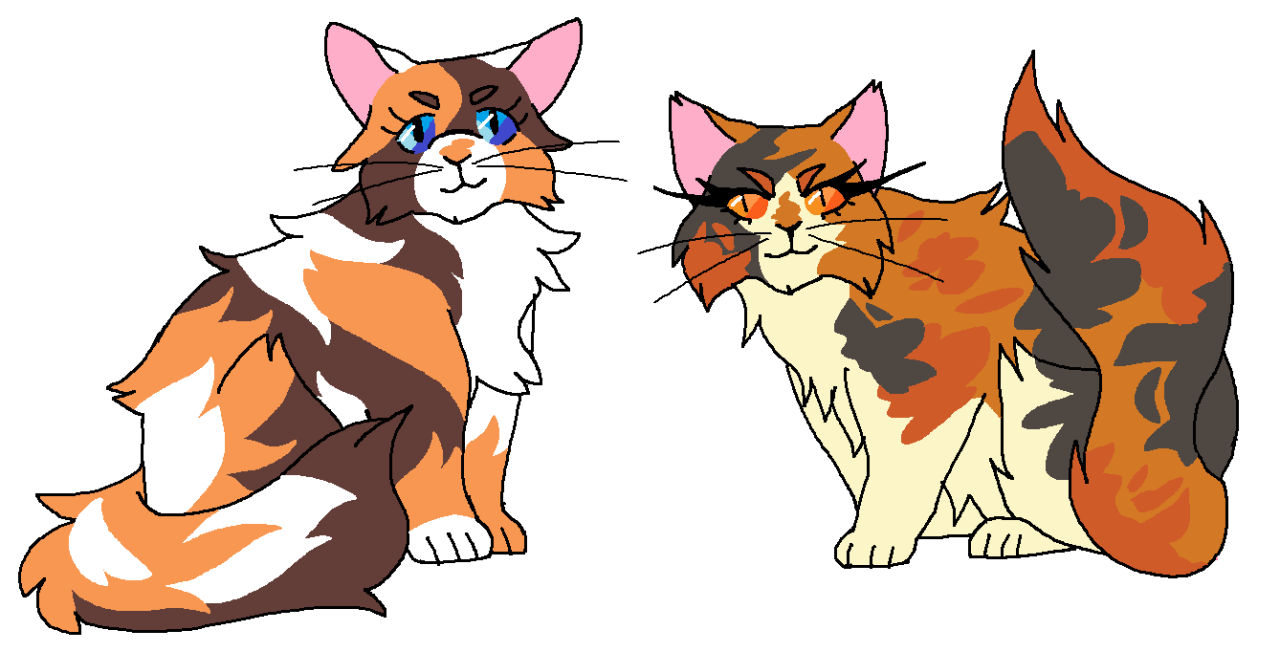 ⭐️ MAY STARCLAN LIGHT YOUR PATH ⭐️ — rayquazas: tortoiseshell she cats