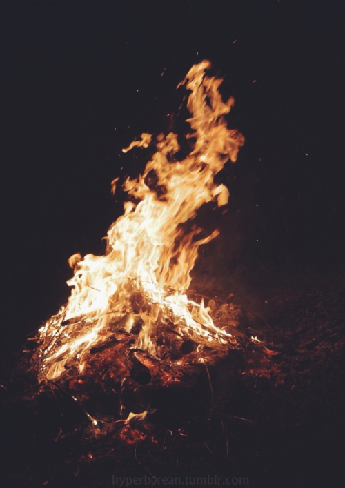 bonfire on Tumblr