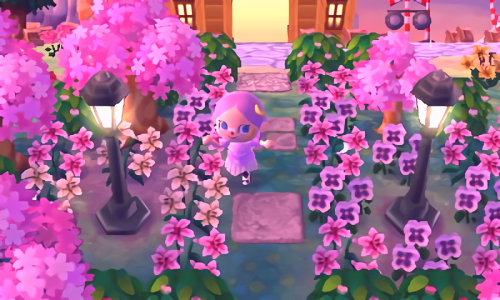 acnl pansies | Tumblr