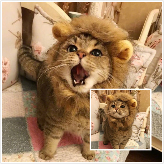 Whoops!! I’m angry!