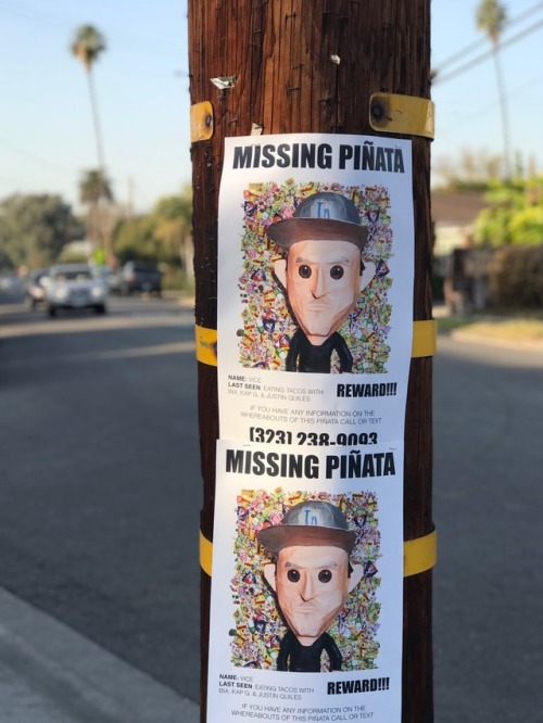 Missing Piñata, Venice