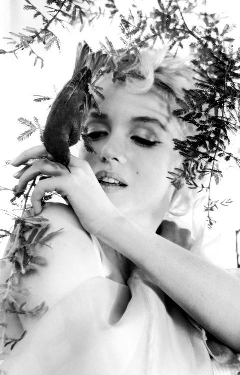 marilyn monroe cecil beaton vintage 1950s portrait