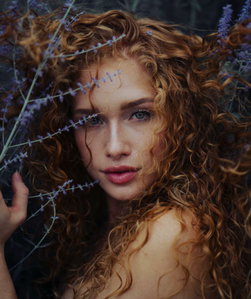abigailhatfield